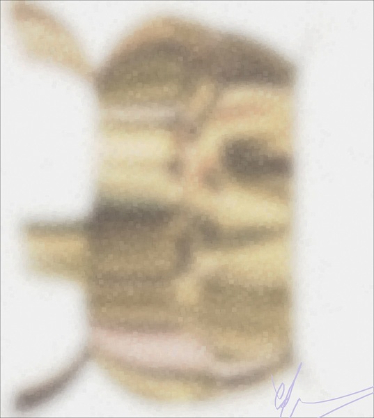 Dissipating Golden Pufferfish Print