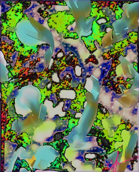 Dolphins Print