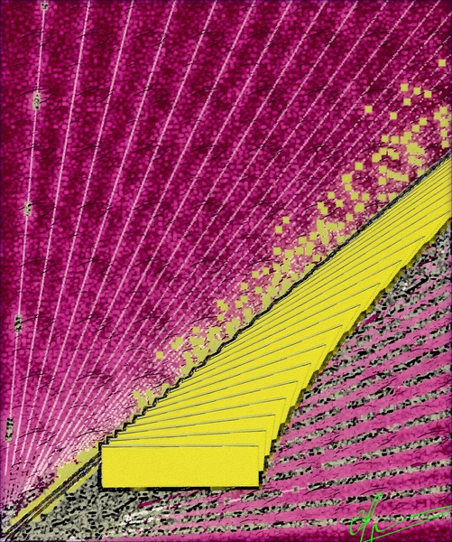 Exponential Butter Print