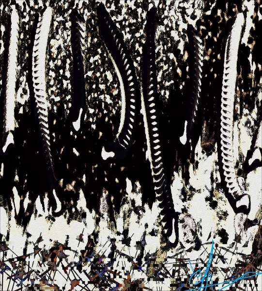 Firmament Trunks Print