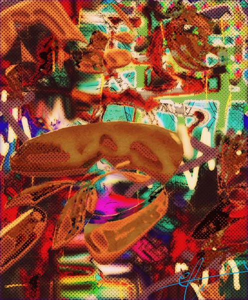 Mayflies & Mega Mango Slices Print