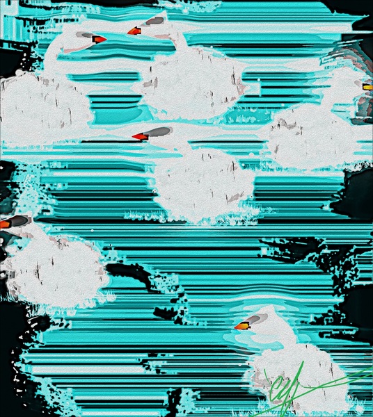 Promiscuous Swans Print