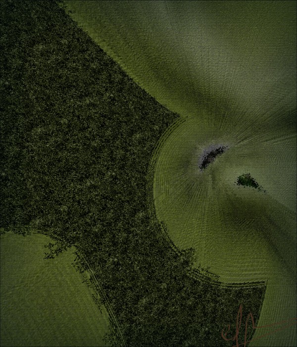 Ubiquitous Fire Moss Print