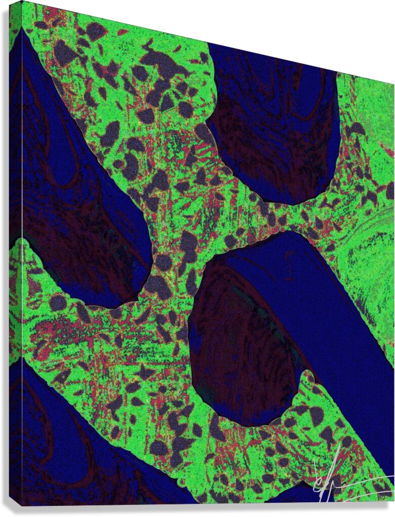 Follicles & Dermis Canvas Print