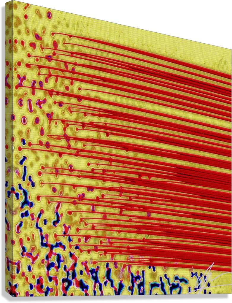 Cell Migration Canvas Print