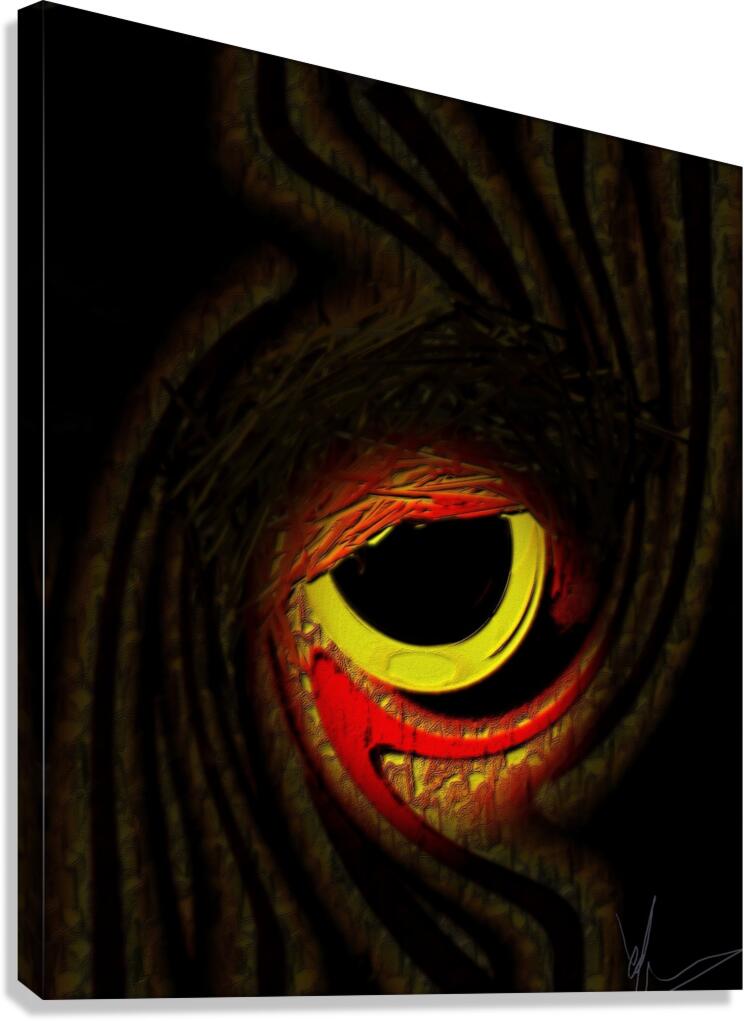 Oculus Noctuae Canvas Print