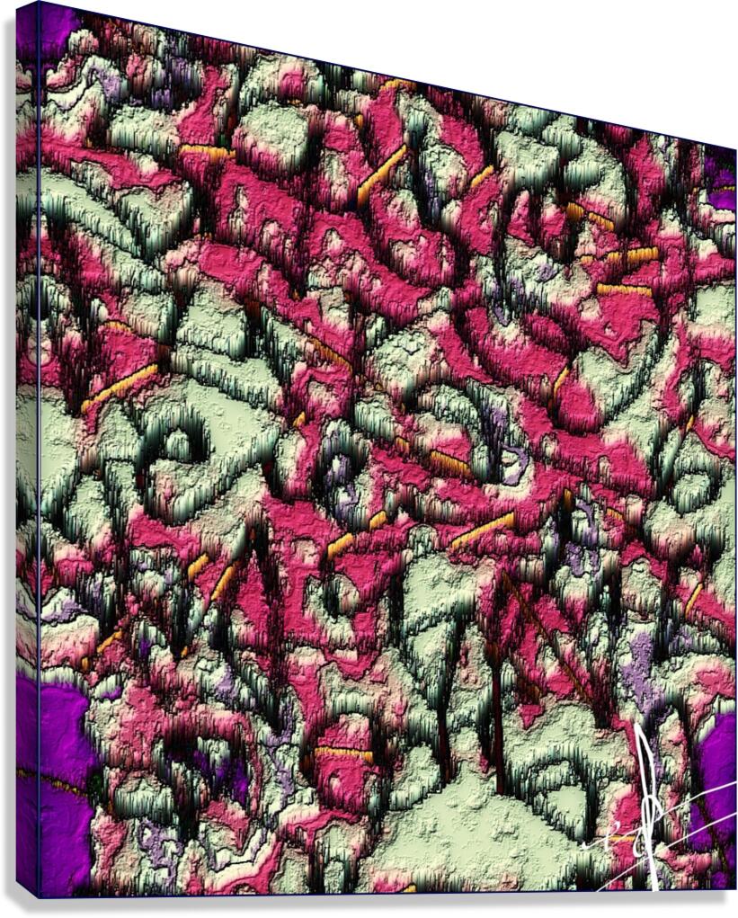 Callisto Canvas Print