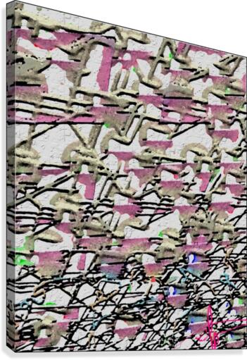 Code Violations Canvas Print