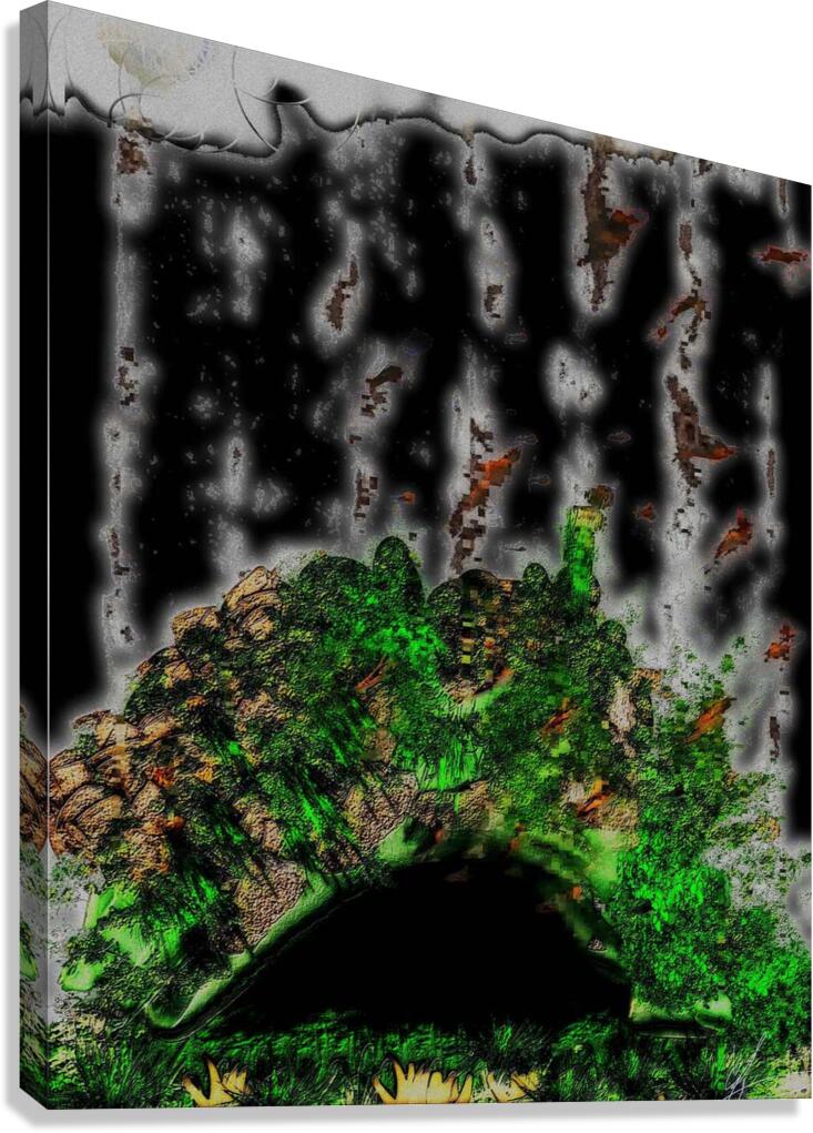 Bracken Cave Canvas Print