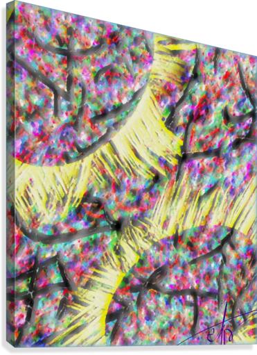 Collision Empyréenne Canvas Print