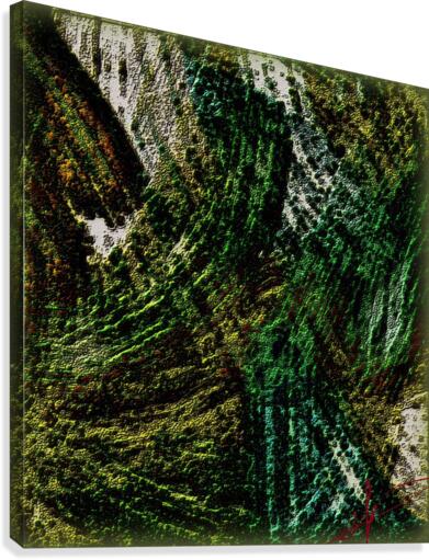 Grass Stains Canvas Print