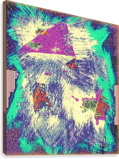 Exploding Head Syndrome Canvas Print