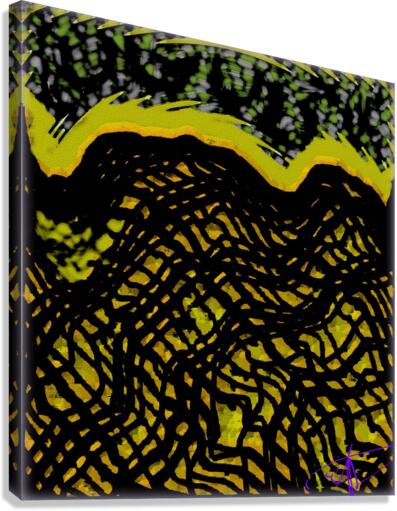 Not a Rothko Canvas Print