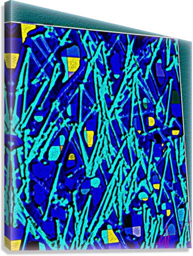 Dizzy Spell Canvas Print