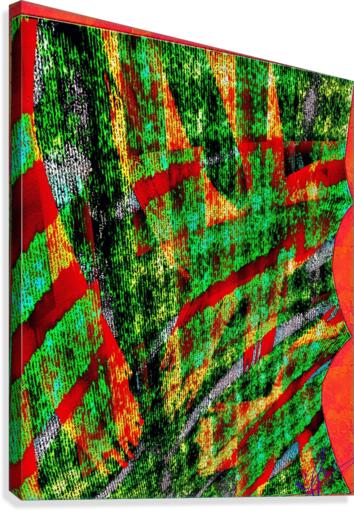 Pyrogenicity Canvas Print