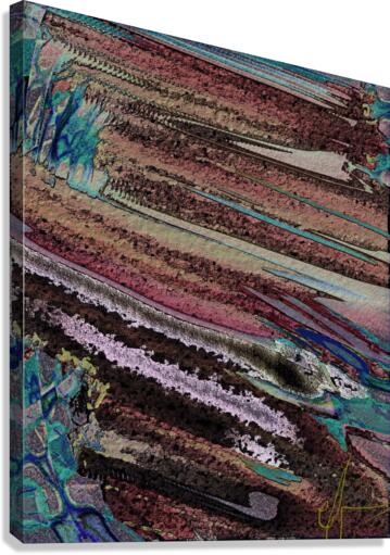 Debellatio Canvas Print