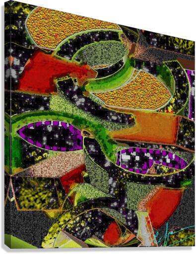 Catawampus Canvas Print