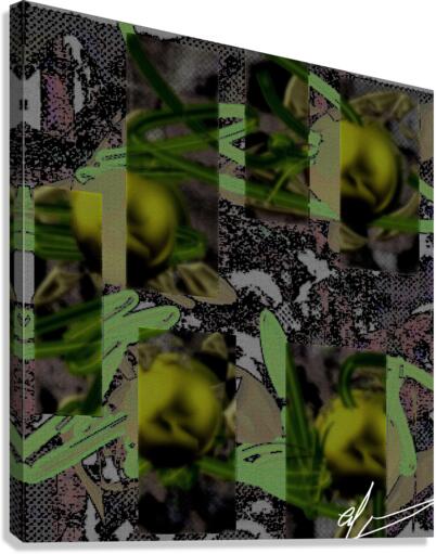 Brussels Sprouts Canvas Print