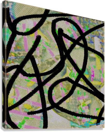 Black Rat Snake Interruption Canvas Print