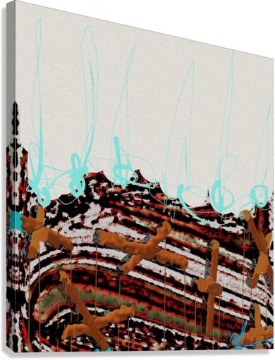 Mirroring Entropy Canvas Print