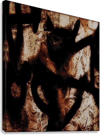 Epiboulos Canvas Print