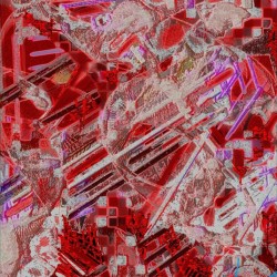 The Sinew Discordant