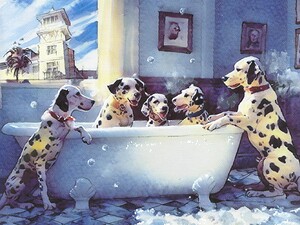  Dalmatians enjoying a bubbly bath in Celebration