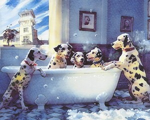  Dalmatians enjoying a bubbly bath in Celebration Florida