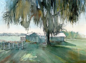 The little house on the lake in Clermont- Florida