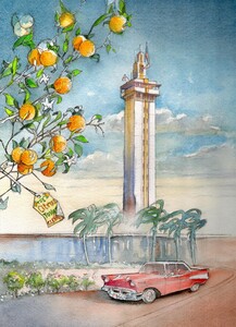 Citrus tower Clermont Florida