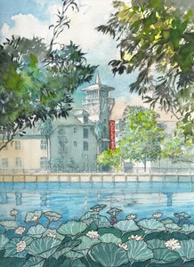 Hotel and water lilies in Celebration Florida