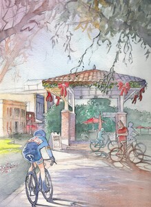 Cyclist in Winter Garden Florida