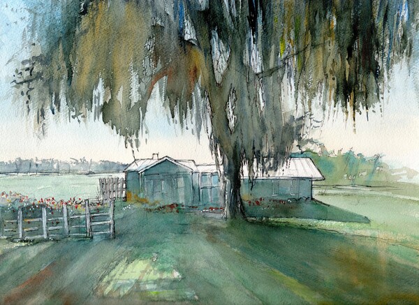 The little house on the lake in Clermont- Florida  Print
