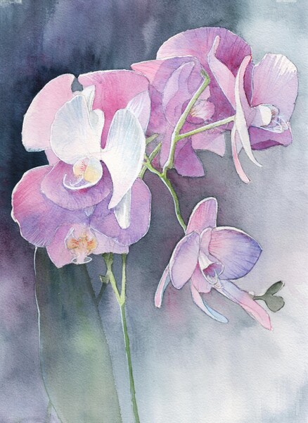 Orchids in purple and grey  Print