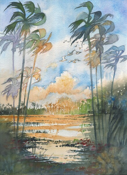 Palm Trees in the Florida Everglades  Print