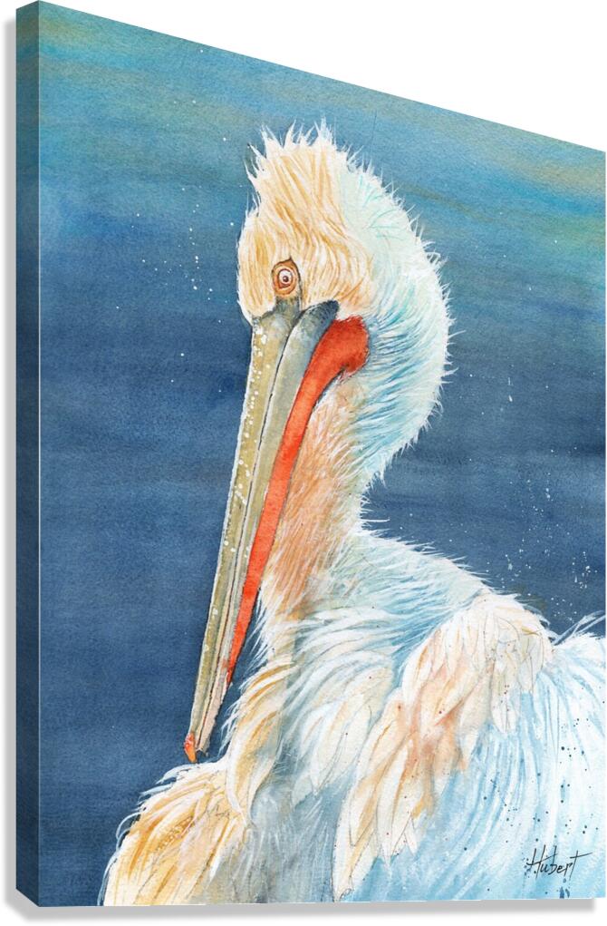 A Florida Pelican  Canvas Print