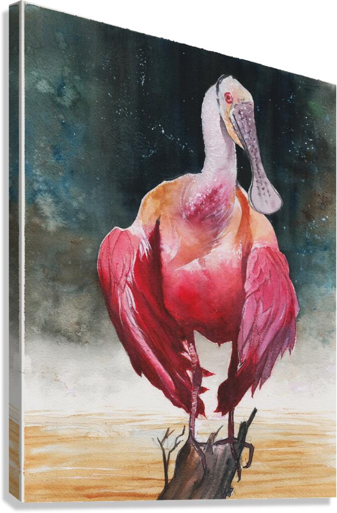 A Roseate Spoonbill in Florida proudly perched in the Florida Everglades  Canvas Print