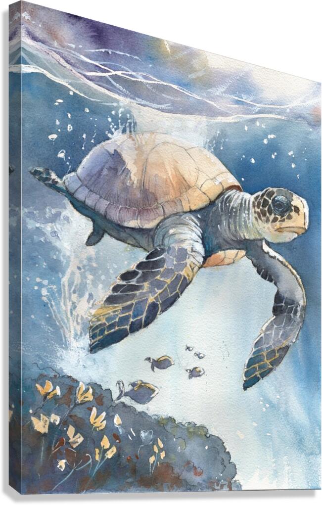 Sea Turtle - Florida  Canvas Print