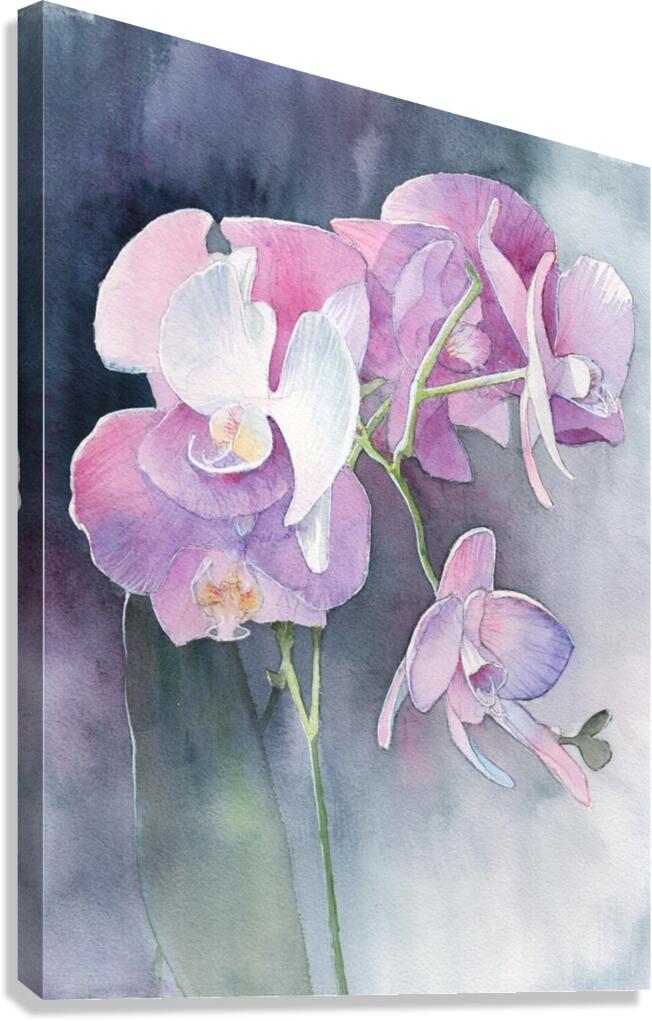 Orchids in purple and grey  Canvas Print