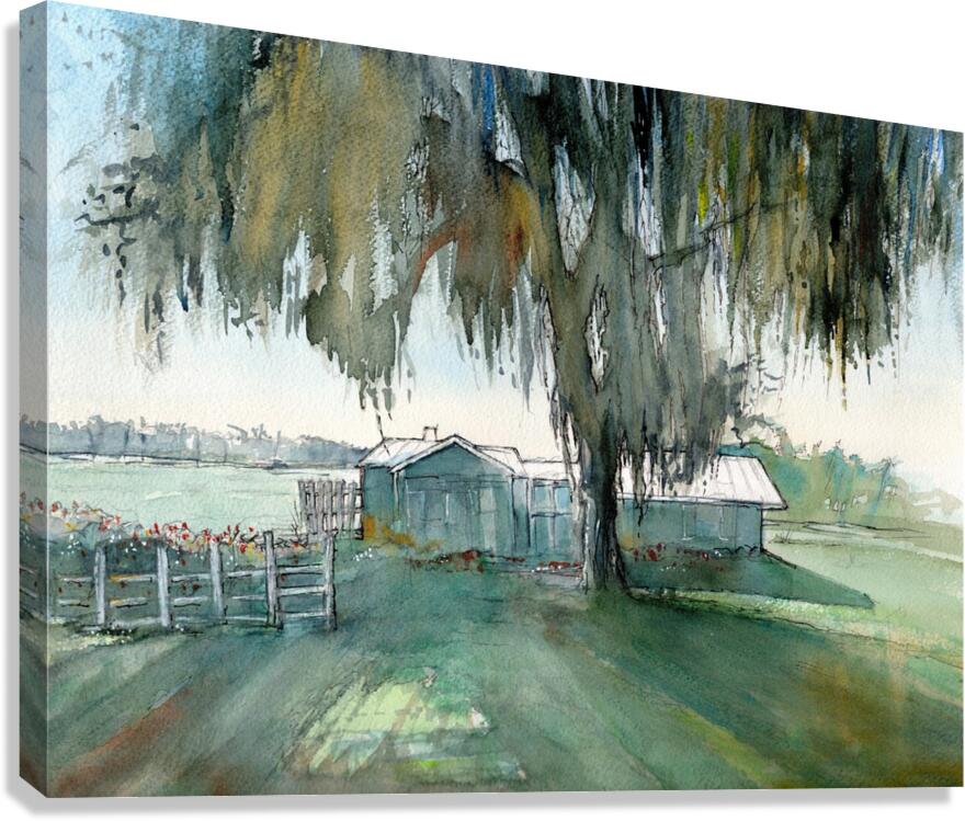 The little house on the lake in Clermont- Florida  Canvas Print