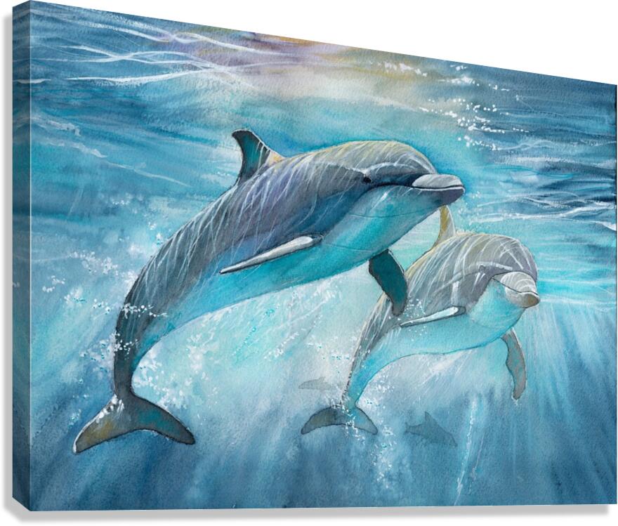 Dolphins in the ocean  Canvas Print
