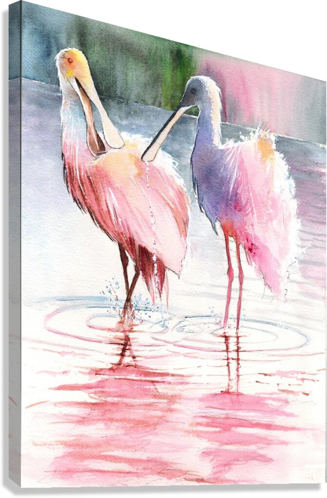 Spoonbills in Florida  Canvas Print