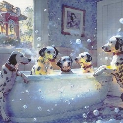  A family of Dalmatians in Winter Garden