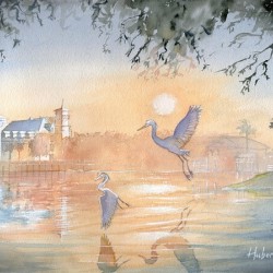 Dawn over Celebration
