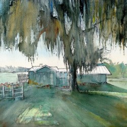 The little house on the lake in Clermont- Florida