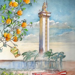 Citrus tower Clermont Florida