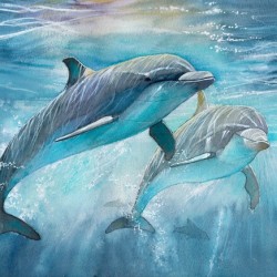 Dolphins in the ocean