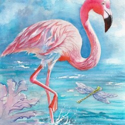 Pink Flamingo - Florida