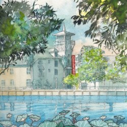 Hotel and water lilies in Celebration Florida