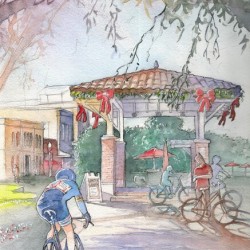 Cyclist in Winter Garden Florida